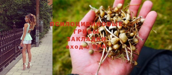 MESCALINE Надым