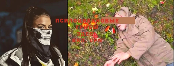 MESCALINE Надым